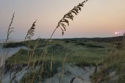 Frisco Campground - Cape Hatteras National Seashore