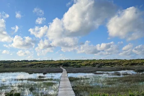 Frisco Campground - Cape Hatteras National Seashore