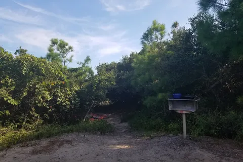 Frisco Campground - Cape Hatteras National Seashore
