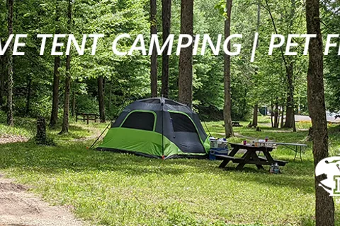 Bill Monroe Memorial Music Park and Campground