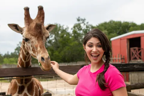 Wild Adventures Safari Campground