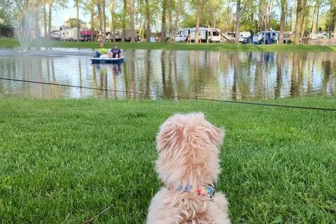 Dutch Treat Camping and Recreation