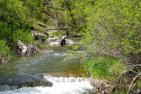 Bonito Hollow RV Park & Campground