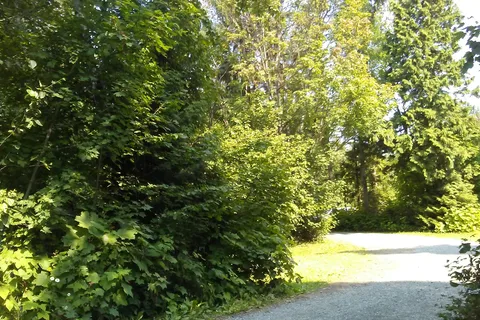 Braun's Island RV Park