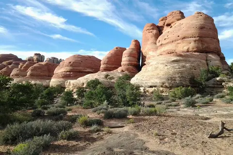 The Needles Squaw Flat Campground - Canyonlands National Park