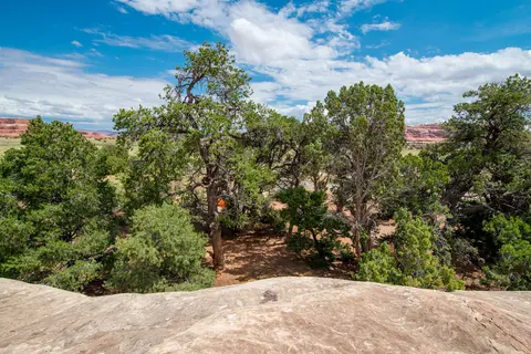 The Needles Squaw Flat Campground - Canyonlands National Park