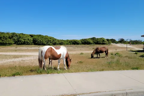 parc d'État Assateague