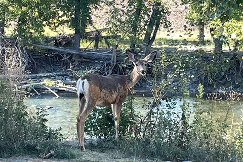 Princeton Municipal RV Park