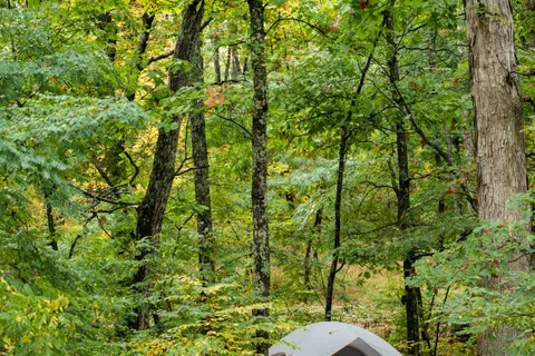 Mathews Arm Campground - Shenandoah National Park