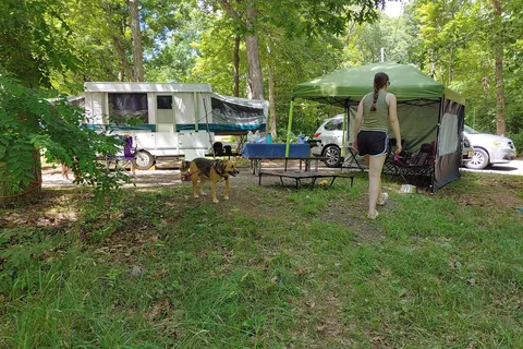 Mathews Arm Campground - Shenandoah National Park