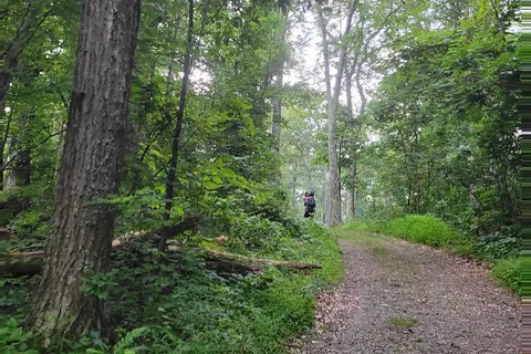 Mathews Arm Campground - Shenandoah National Park