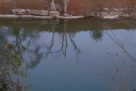 Rebecca Creek Campgrounds