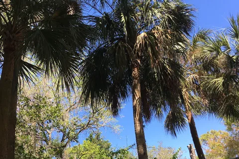 Seminole Campground