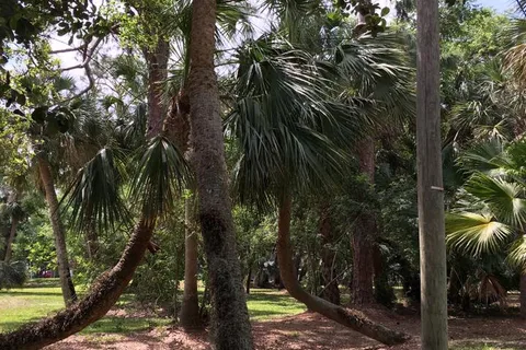 Labelle Woods RV Resort