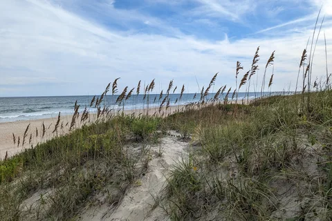 Ocracoke Campground - Cape Hatteras National Seashore