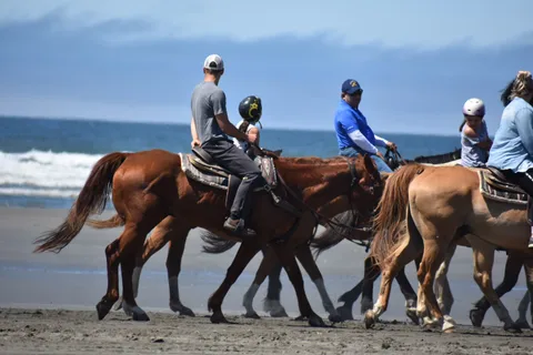 Ocean City State Park
