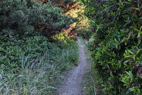 Ocean City State Park