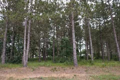 Homegrounds RV Park