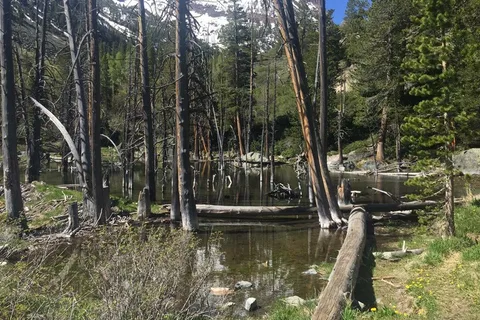 Twin Lakes Resort
