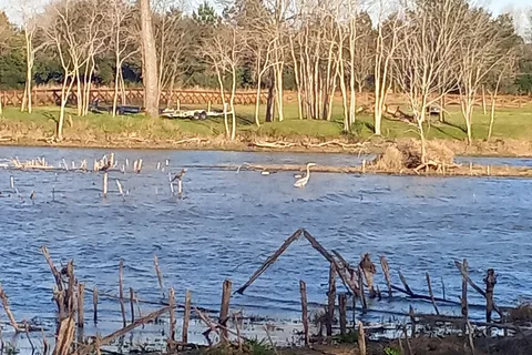 Lake Conroe RV Campground