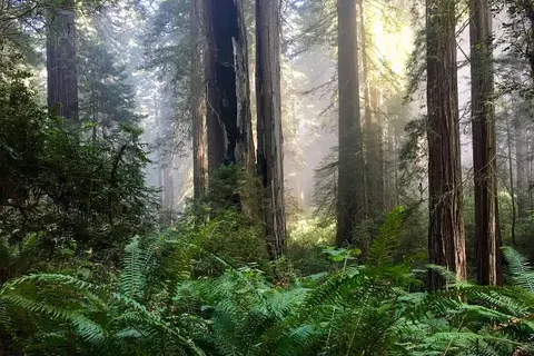 Klamath River RV Park