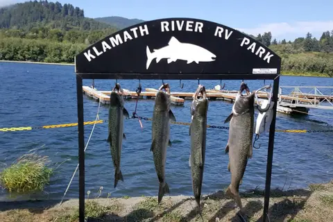Klamath River RV Park