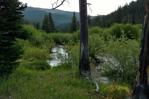Many Pines Campground