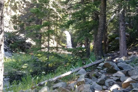 Many Pines Campground