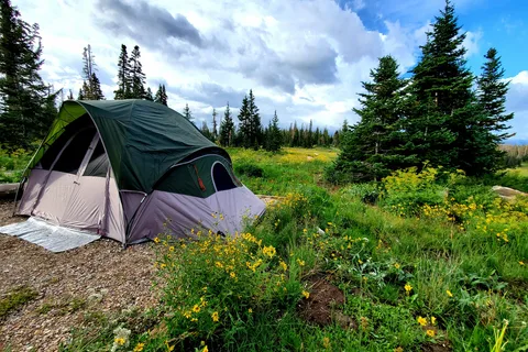 Point Supreme Campground - Cedar Breaks National Monument