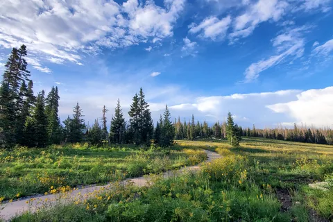 Point Supreme Campground - Cedar Breaks National Monument