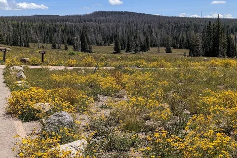 Point Supreme Campground - Cedar Breaks National Monument