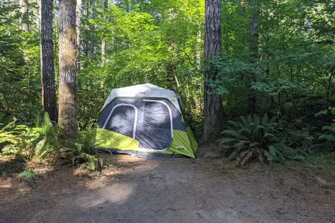 Cowlitz Falls Campground