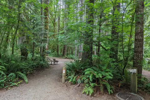 Cowlitz Falls Campground