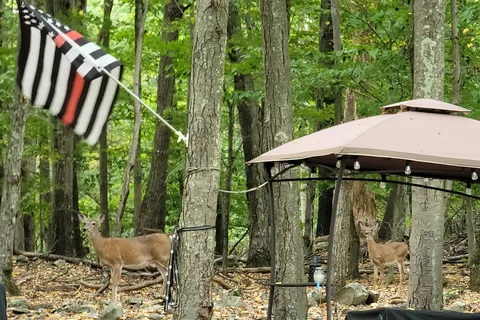 Mountain Vista Campground