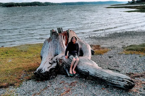 Belfair State Park