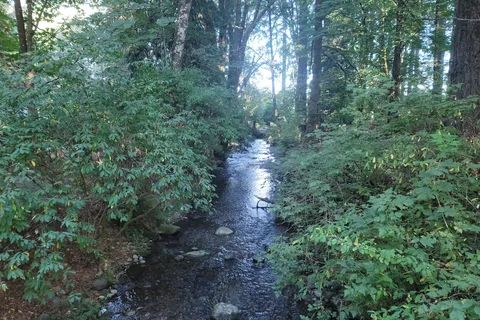 Belfair State Park
