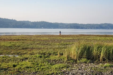 Belfair State Park
