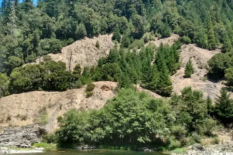 Richardson Grove State Park