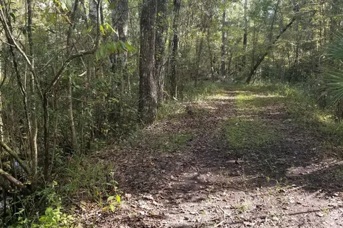 Goethe State Forest - Black Prong