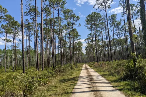 Goethe State Forest - Black Prong