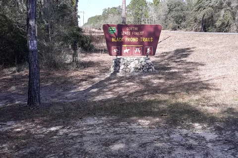 Goethe State Forest - Black Prong