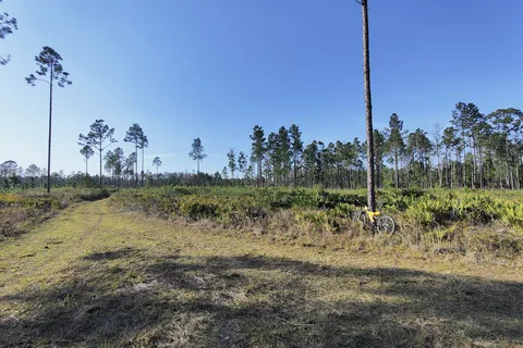 Goethe State Forest - Black Prong