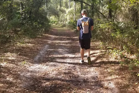 Goethe State Forest - Black Prong