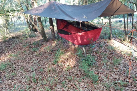 Goethe State Forest - Black Prong