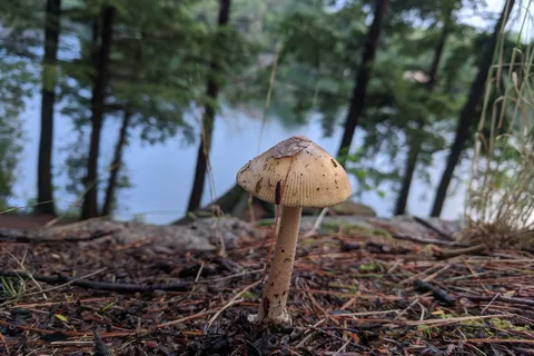 Oastler Lake Provincial Park
