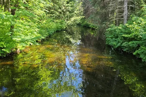 Oastler Lake Provincial Park