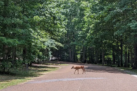Monte Sano State Park