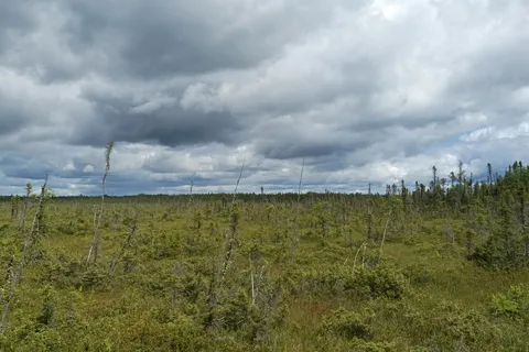 Pointe Taillon Provincial Park