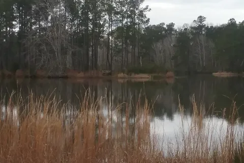 Horseshoe Lake Farm