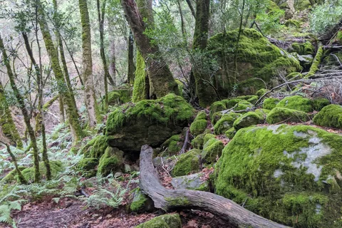 Sugarloaf Ridge State Park